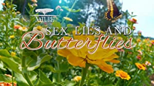 Nonton Film Sex, Lies and Butterflies (2018) Subtitle Indonesia
