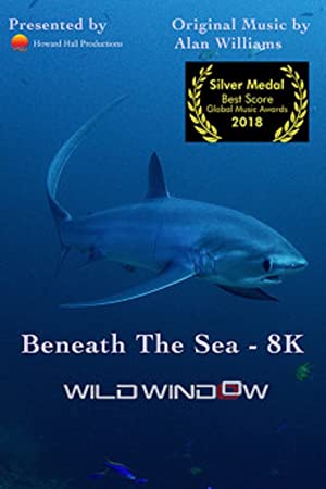 Nonton Film Wild Window: Beneath the Sea (2018) Subtitle Indonesia Filmapik