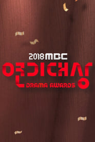 Nonton MBC Drama Awards (2018) Sub Indo