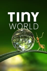 Nonton Tiny World (2020) Sub Indo