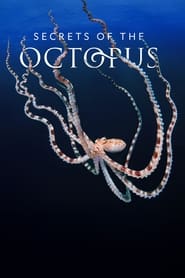 Nonton Secrets of the Octopus (2024) Sub Indo