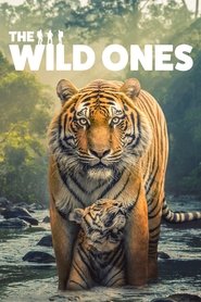 Nonton The Wild Ones (2025) Sub Indo
