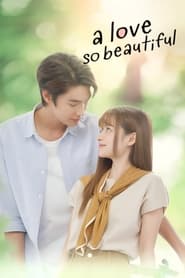 Nonton A Love So Beautiful (2024) Sub Indo