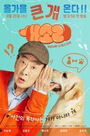 Nonton Dog Knows Everything (2024) Sub Indo