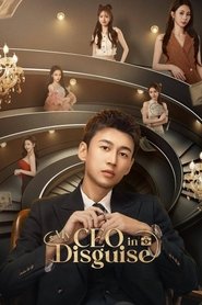 Nonton My CEO in Disguise (2025) Sub Indo