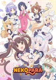 Nonton Nekopara (2020) Sub Indo