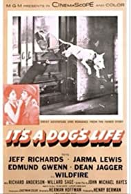 Nonton It’s a Dog’s Life (1955) Sub Indo