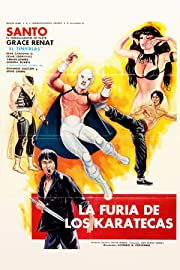 Nonton The Fury of the Karate Experts (1982) Sub Indo