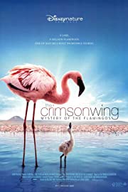 Nonton The Crimson Wing: Mystery of the Flamingos (2008) Sub Indo