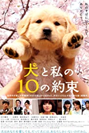 Nonton 10 Promises to My Dog (2008) Sub Indo