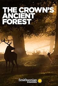Nonton The Crown’s Ancient Forest (2021) Sub Indo
