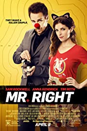 Nonton Mr. Right (2015) Sub Indo