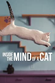 Nonton Inside the Mind of a Cat (2022) Sub Indo