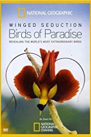 Nonton Winged Seduction: Birds of Paradise (2012) Sub Indo