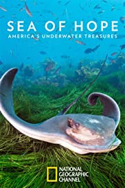 Nonton Sea of Hope: America’s Underwater Treasures (2017) Sub Indo