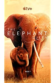 Nonton The Elephant Queen (2018) Sub Indo