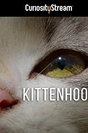 Nonton Kittenhood (2015) Sub Indo