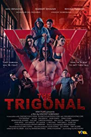 Nonton The Trigonal: Fight for Justice (2018) Sub Indo