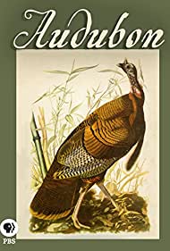 Nonton Audubon (2017) Sub Indo