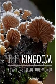 Nonton The Kingdom: How Fungi Made Our World (2018) Sub Indo