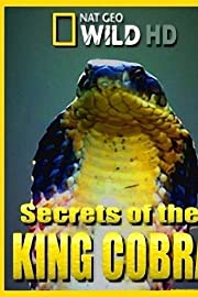 Nonton Secrets of the King Cobra (2010) Sub Indo