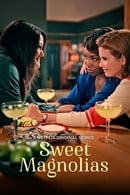 Nonton Sweet Magnolias (2020) Subtitle Indonesia