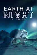 Nonton Earth at Night in Color (2020) Subtitle Indonesia