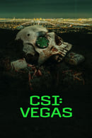 Nonton CSI: Vegas (2021) Subtitle Indonesia