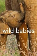 Nonton Wild Babies (2022) Subtitle Indonesia