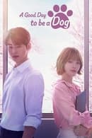 Nonton A Good Day to be a Dog (2023) Subtitle Indonesia